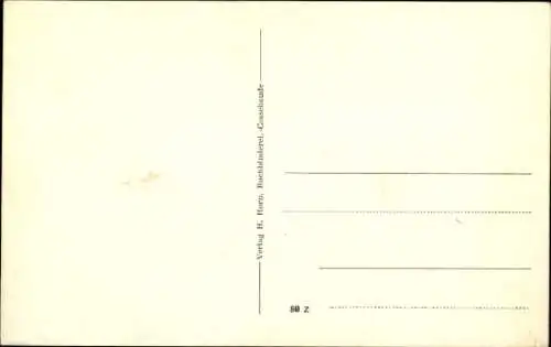 Ak Dresden Cossebaude, Blühender Baum, Wohnhaus, Hühner