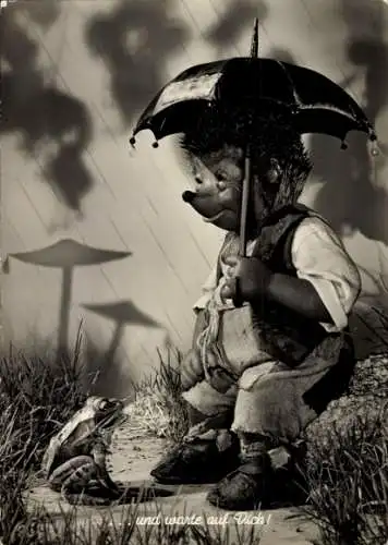 Ak Mecki der Igel, Und warte auf dich, Regen, Frosch, Regenschirm