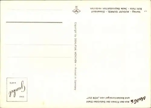 Ak Mecki der Igel, Und warte auf dich, Regen, Frosch, Regenschirm