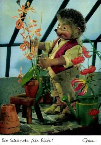 Ak Mecki der Igel, Die Schönste für Dich, Orchidee