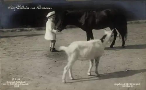 Ak Prinz Wilhelm von Preußen mit Pony und Ziege, PH 2132