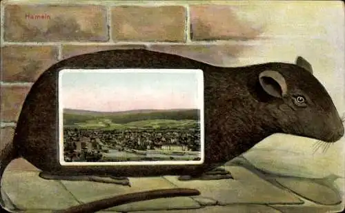 Passepartout Ak Hameln an der Weser Niedersachsen, Ratte, Panorama