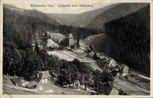 Ak Wildemann Clausthal Zellerfeld im Oberharz, Spiegeltal, Blick vom Hüttenberg