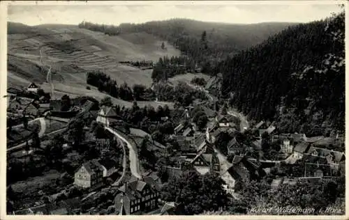 Ak Wildemann Clausthal Zellerfeld im Oberharz, Panorama