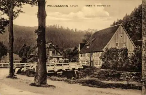 Ak Wildemann Clausthal Zellerfeld im Oberharz, Mühle, Innerstetal