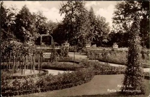 Ak Halle an der Saale, Amtsgarten, Teilansicht