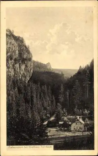 Ak Tambach Dietharz Thüringer Wald, Fels Falkenstein