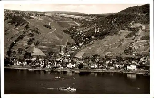 Ak Assmannshausen Rüdesheim am Rhein, Gesamtansicht