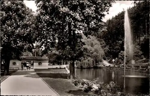 Ak Bad Harzburg am Harz, Kurpark, Fontäne