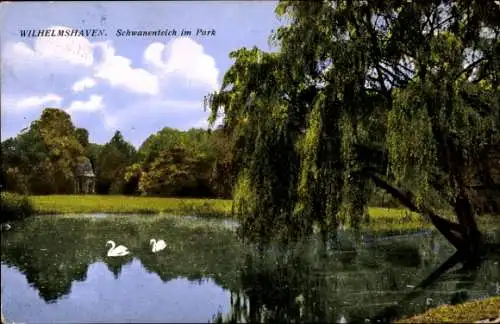 Ak Wilhelmshaven an der Nordsee, Schwanenteich im Park, Trauerweide