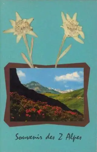 Material Ak Alpen, Gesamtansicht, Gebirge, Edelweiß