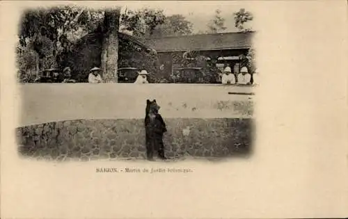 Ak Saigon Cochinchine Vietnam, Martin du Jardin botanique