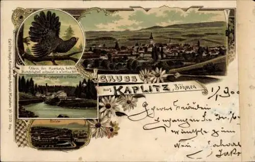 Litho Kaplice Kaplitz Südböhmen, Gesamtansicht, Nähfadenfabrik, Bleiche