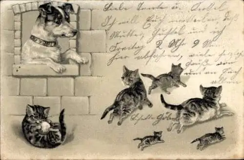 Präge Litho Katzen, Hund schaut aus dem Fenster