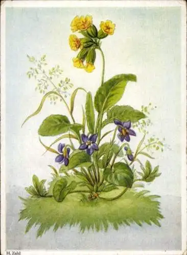 Künstler Ak Zahl, H., Blumen, Blüten