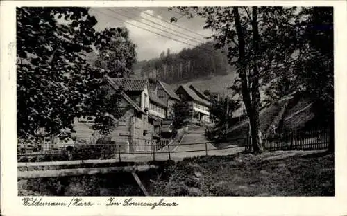 Ak Wildemann Clausthal Zellerfeld im Oberharz, Sonnenglanz