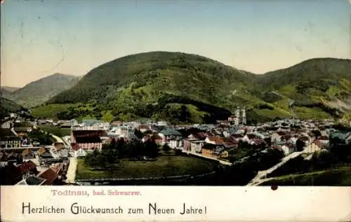 Ak Todtnau im Südschwarzwald, Gesamtansicht