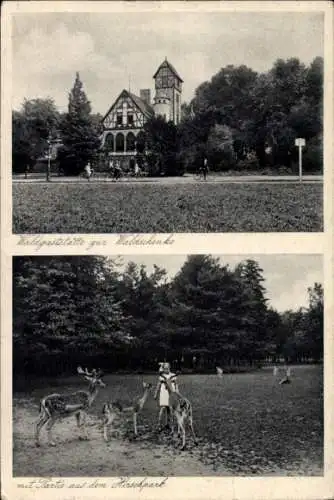 Ak Köln am Rhein, Waldgaststätte zur Waldschenke, Stadtwald, Hirschpark