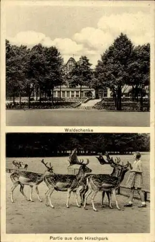 Ak Köln am Rhein, Waldgaststätte zur Waldschenke, Stadtwald, Hirschpark