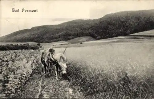 Ak Bad Pyrmont in Niedersachsen, Panorama, Fuhrwerk, Kur