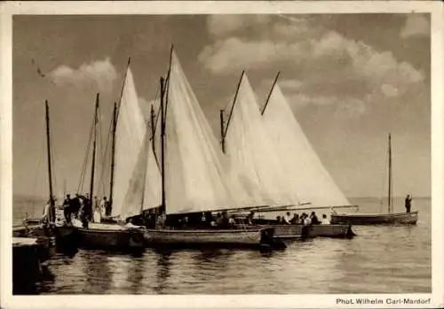 Ak Steinhude Wunstorf Niedersachsen, Steinhuder Meer, Landungsbrücke, Ratskeller, Segelboote