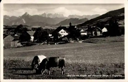 Ak Oy Mittelberg im Allgäu, Bad Oy, Füssener Berge, Zugspitze, Kühe