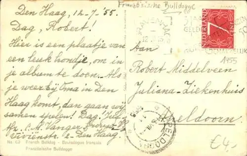 Ak Französische Bulldogge