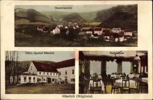 Ak Häselich Müglitztal im Landkreis Sächsische Schweiz Osterzgebirge, Otto´s Gasthof, Inh. R. Otto