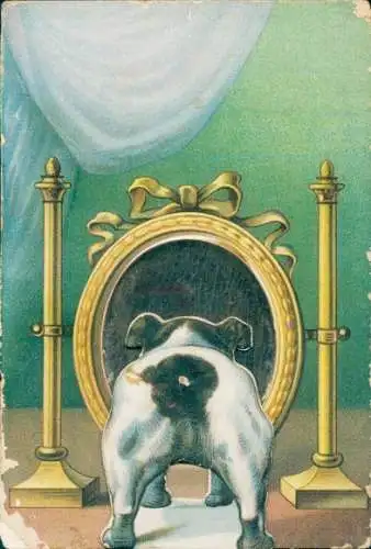 Mechanische Ak Hund vor dem Spiegel