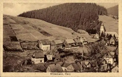 Ak Wildemann Clausthal Zellerfeld im Oberharz, Panorama