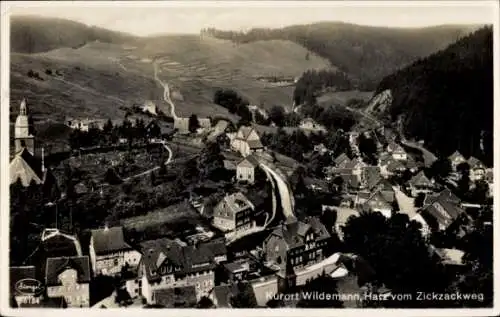 Ak Wildemann Clausthal Zellerfeld im Oberharz, Blick vom Zickzackweg, Panorama