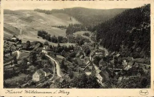 Ak Wildemann Clausthal Zellerfeld im Oberharz, Panorama