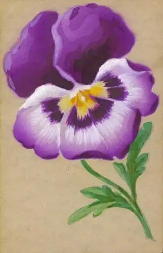 Handgemalt Ak Stiefmütterchen, Blume