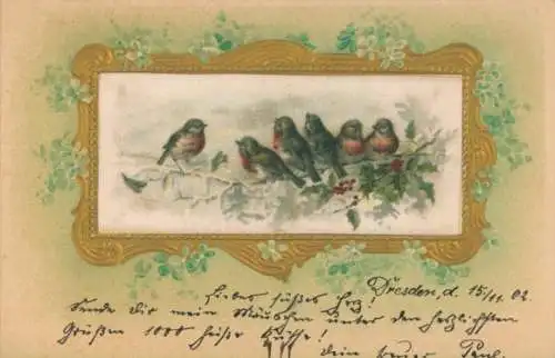 Präge Passepartout Litho Vögel auf dem Zweig, Vergissmeinnicht