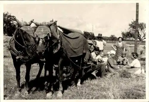 Foto Ak Landarbeiter bei einer Rast auf dem Feld, Zugpferde, 1938