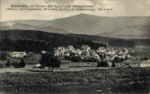 Ak Haidmühle Bayrischer Wald Niederbayern, Panorama, Dreisesselberg