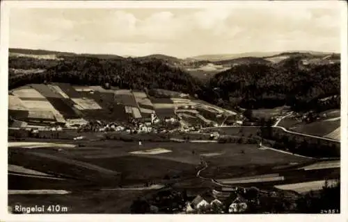 Ak Ringelai in Niederbayern, Panorama