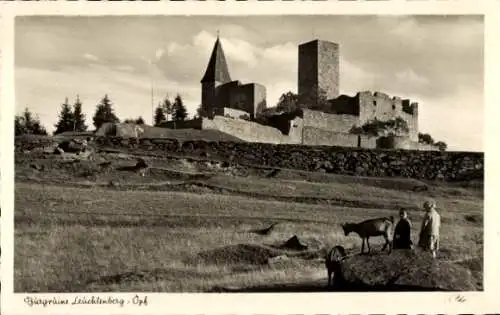 Ak Leuchtenberg Oberpfalz, Burgruine, Kinder, Ziegen