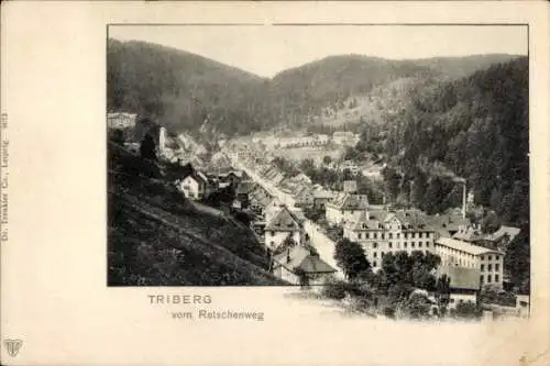 Ak Triberg im Schwarzwald, Blick vom Retschenweg, Panorama