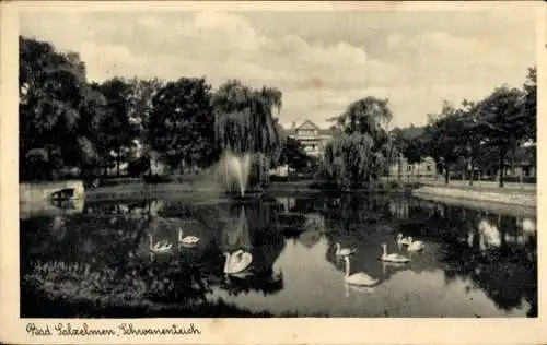Ak Salzelmen Schönebeck an der Elbe, Schwanenteich