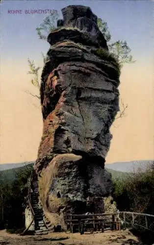 Ak Schönau in der Pfalz, Burg Blumenstein, Ruine