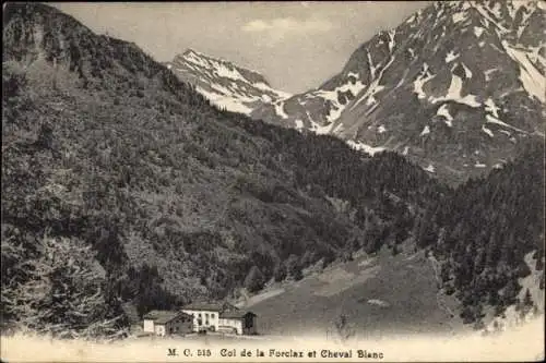 Ak Forclaz Kanton Wallis Schweiz, Cheval Blanc