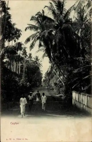 Ak Ceylon Sri Lanka, Straßenpartie