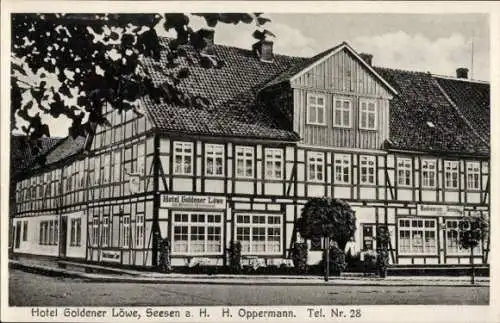 Ak Seesen am Harz, Hotel Goldener Löwe