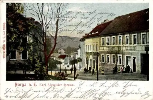 Ak Berga an der Elster Thüringen, Karl-Alexander-Straße