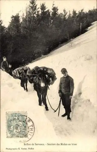 Ak Servance Miellin Haute-Saône, Sentiers des Mulets en hiver