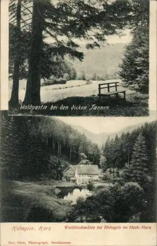 Ak Hohegeiß Braunlage im Oberharz, Wolfsbachmühle, Wald bei den dicken Tannen