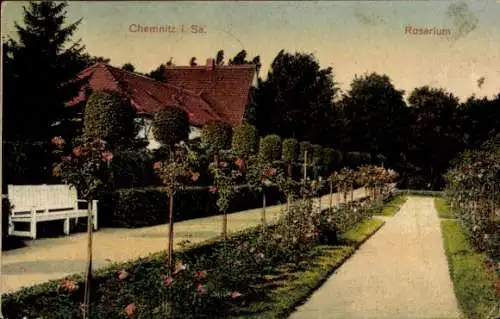 Ak Chemnitz in Sachsen, Rosarium