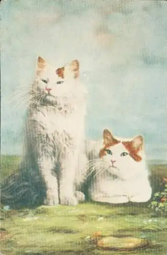 Quietsch Ak Zwei weiße Katzen, Tierportrait