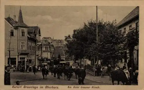 Ak Braunlage im Oberharz, Hotel Brauner Hirsch, Kuhherde